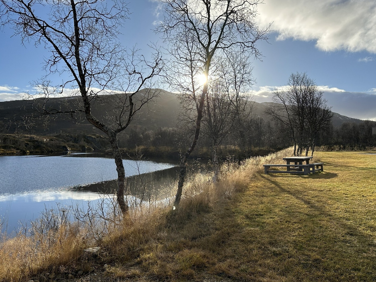 Selgers egne bilder Galleribilde