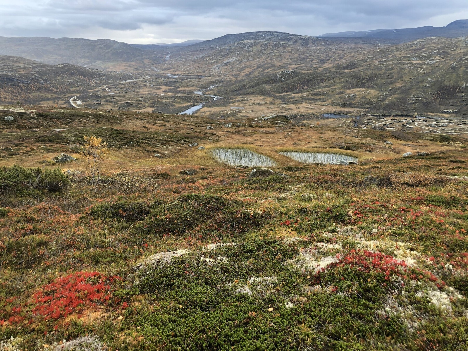 Selgers egne bilder. Høst i Bjoreidalen. Galleribilde