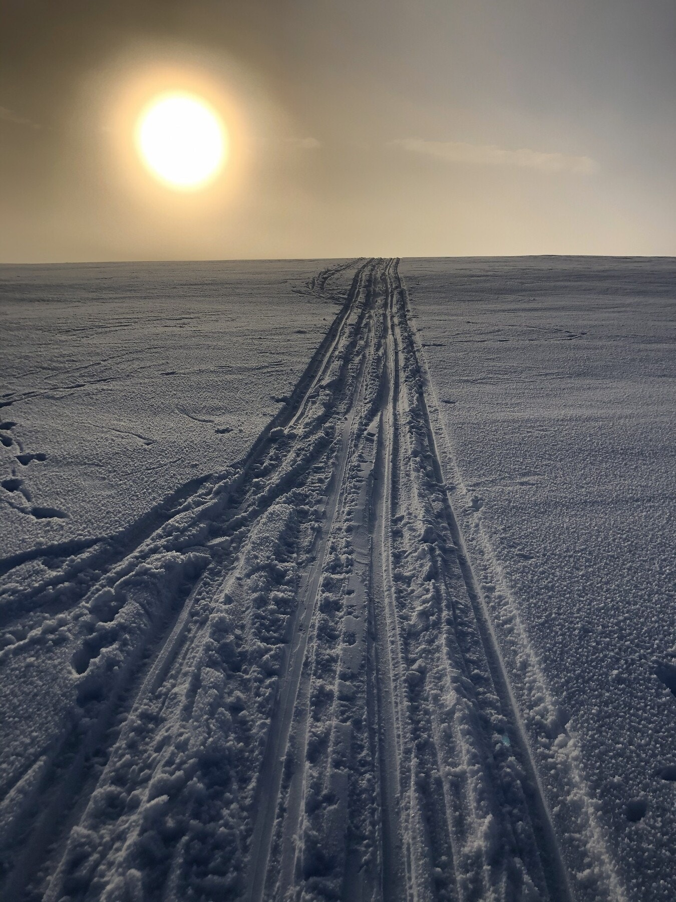 Selgers egne bilder Galleribilde