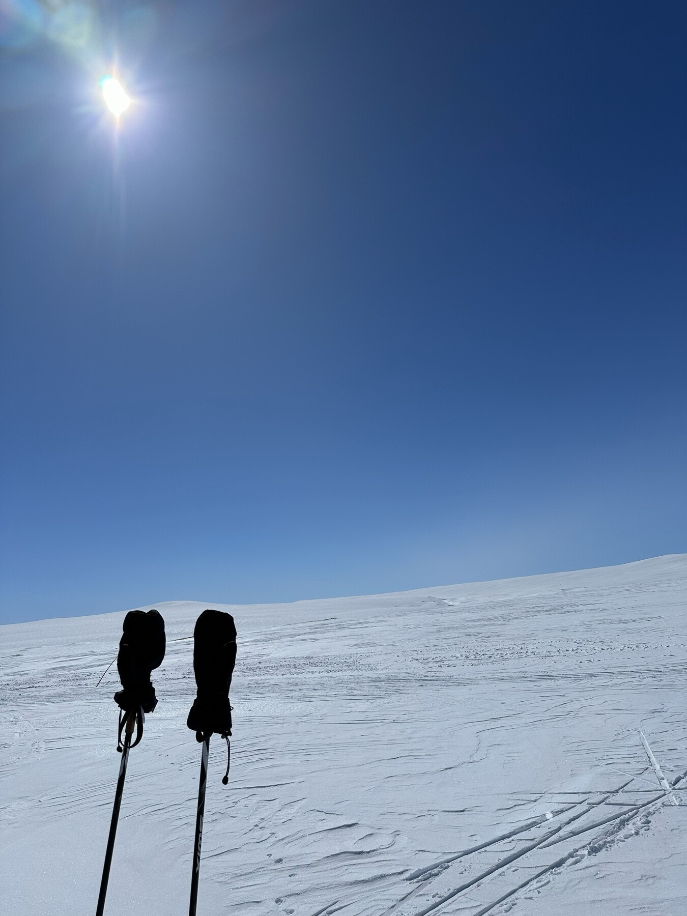 Selgers egne bilder. Strålende sol ved Dyranut. Galleribilde