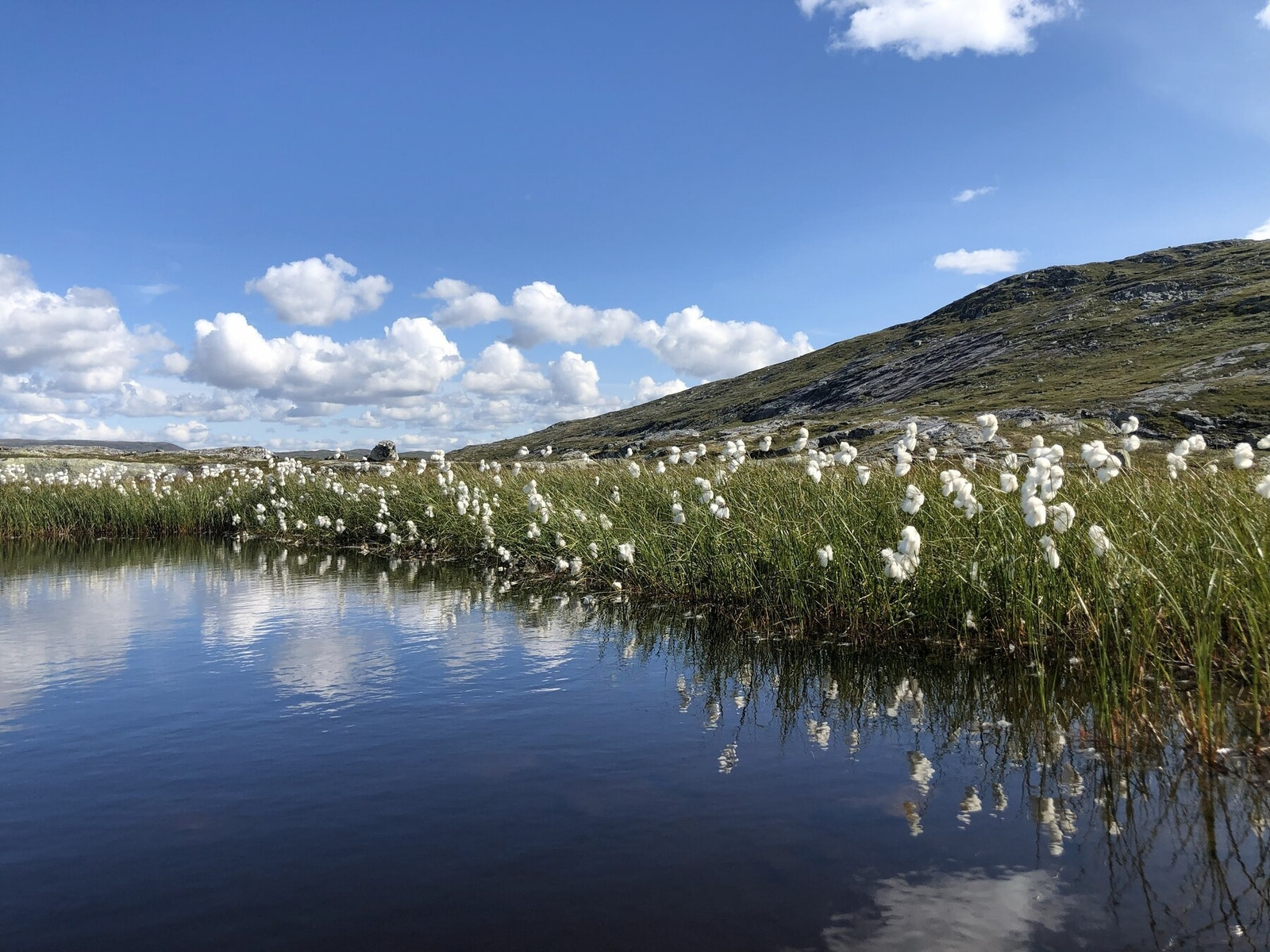 Selgers egne bilder Galleribilde