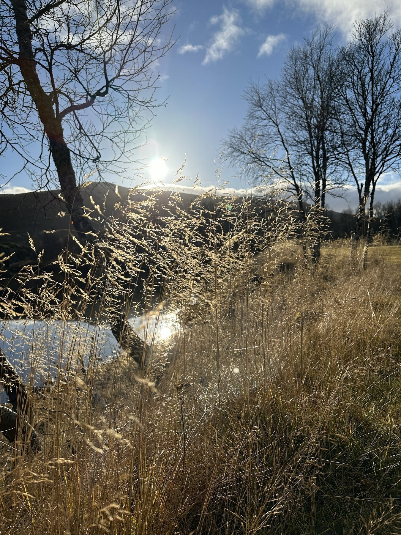 Selgers egne bilder Galleribilde