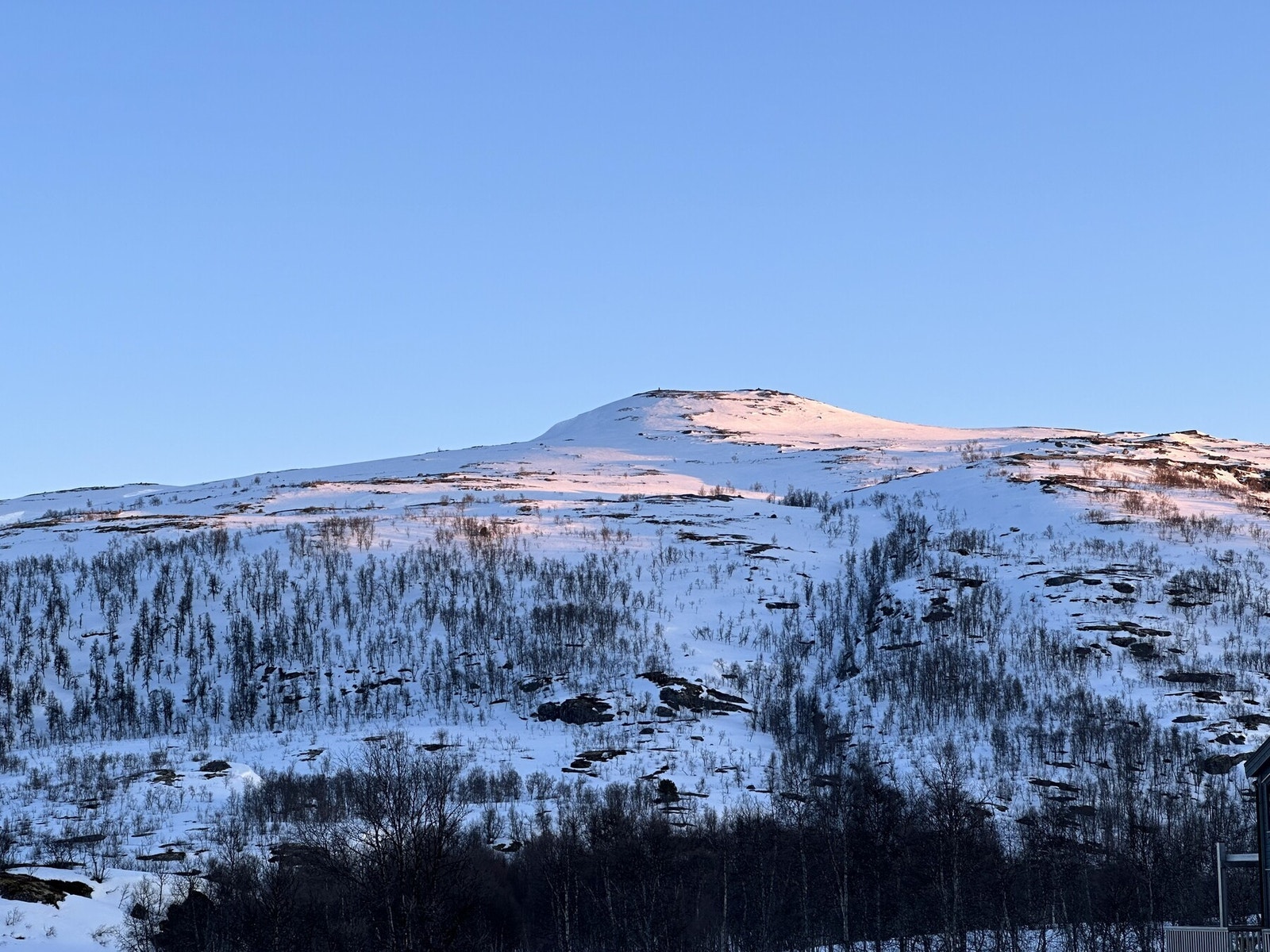 Selgers egne bilder. Utsikt fra stuevinduet. Galleribilde
