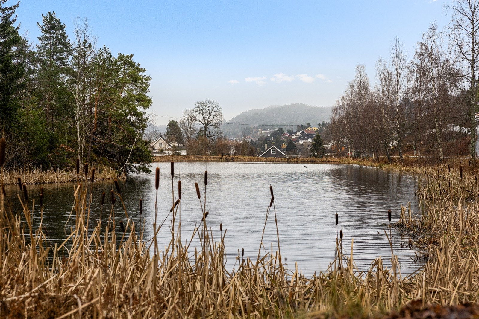 Kort vei til Mellomdammen, som byr på naturskjønne omgivelser og fine turmuligheter året rundt. Galleribilde