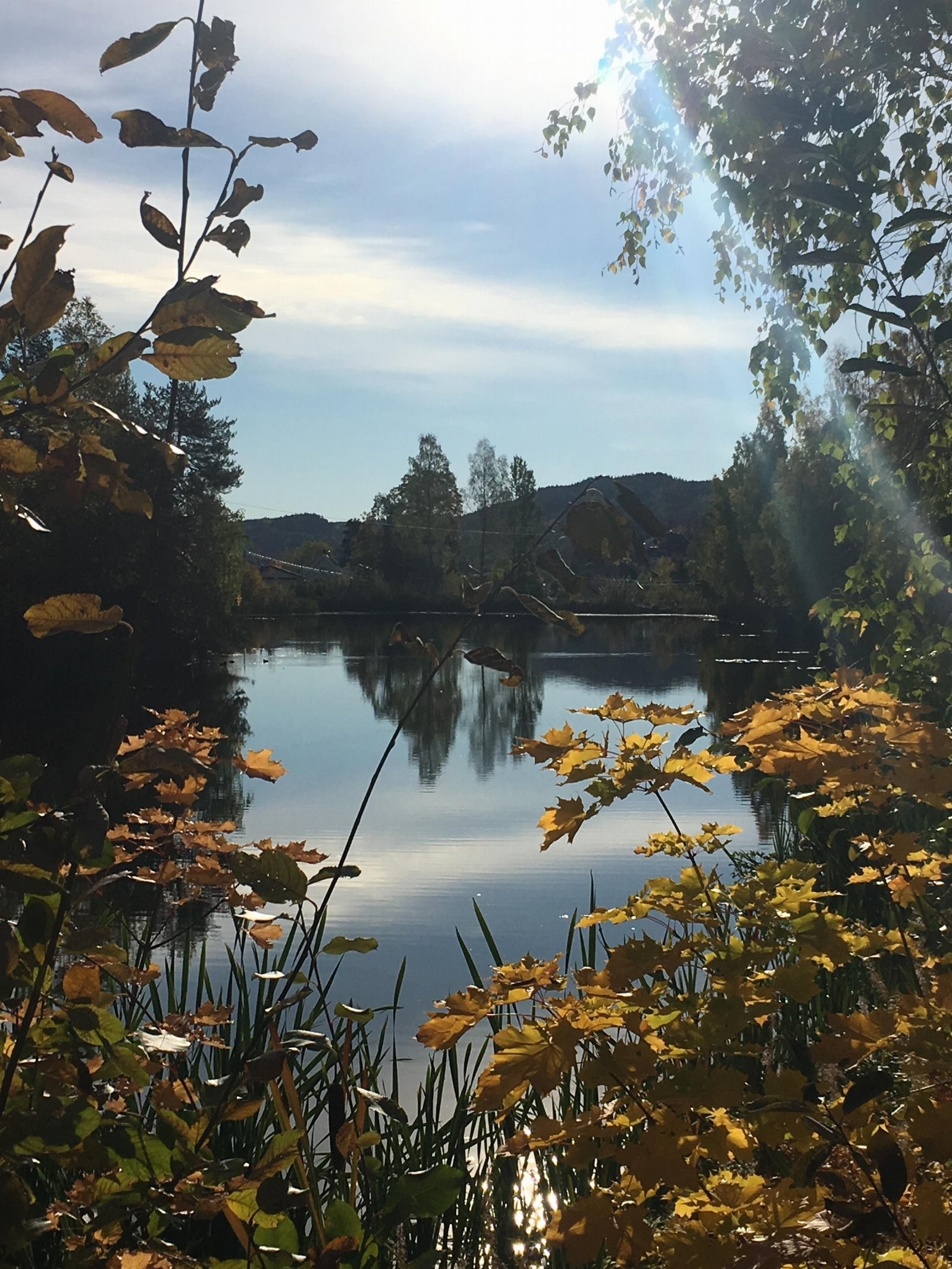 Nærområdet byr på et rikt tilbud av tur- og friluftsmuligheter året rundt. Innen 10-15 minutters gange finnes flere badeplasser og strender, og ellers er det kort vei til både kyststien langs Oslofjorden, skogsveier og stier i marka. Galleribilde