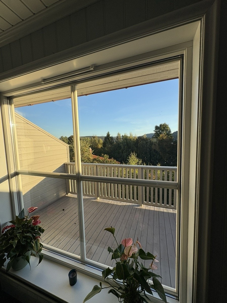 Utsikt fra stua Galleribilde