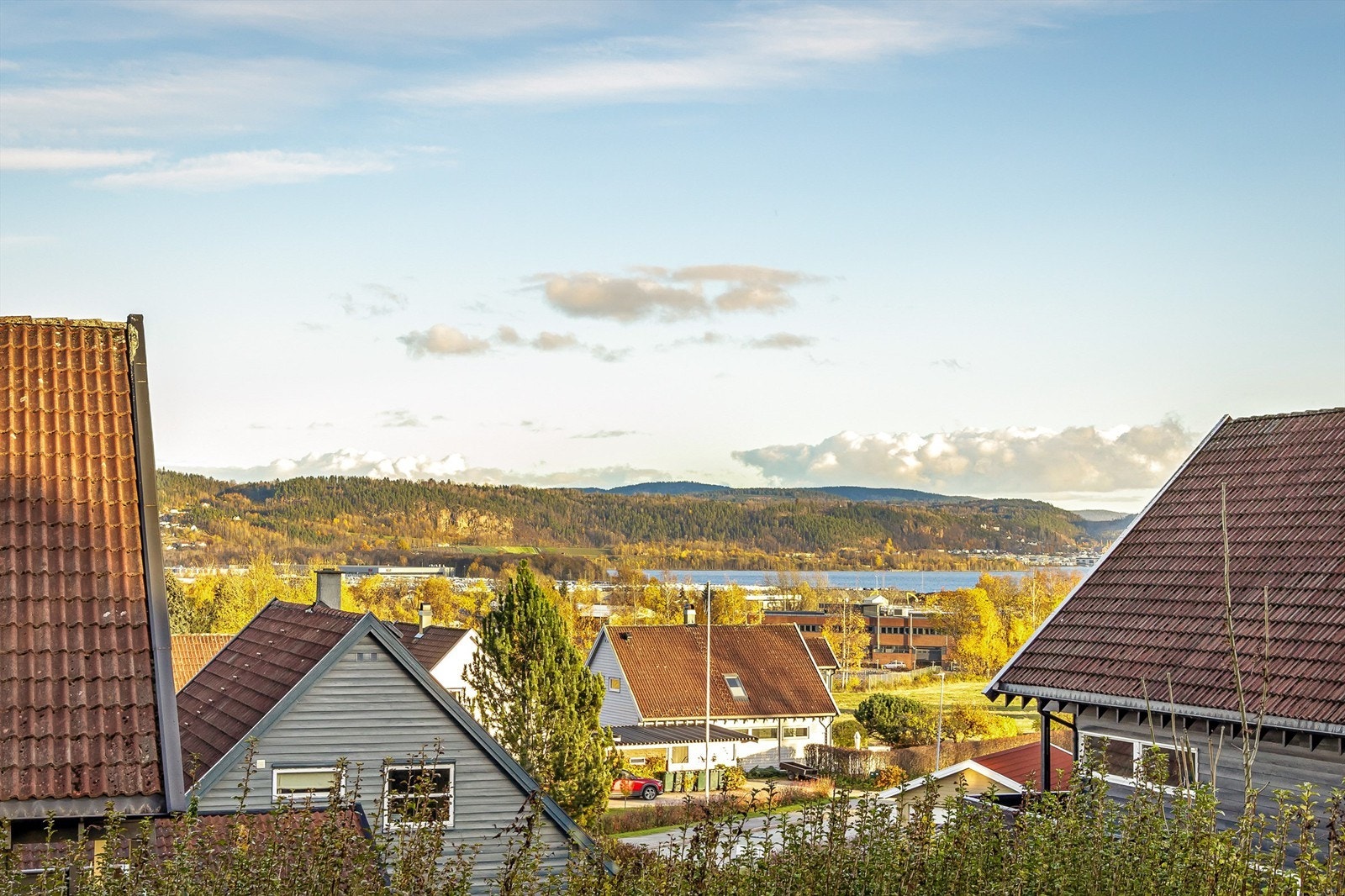 Utsikt - Nærområdet Galleribilde