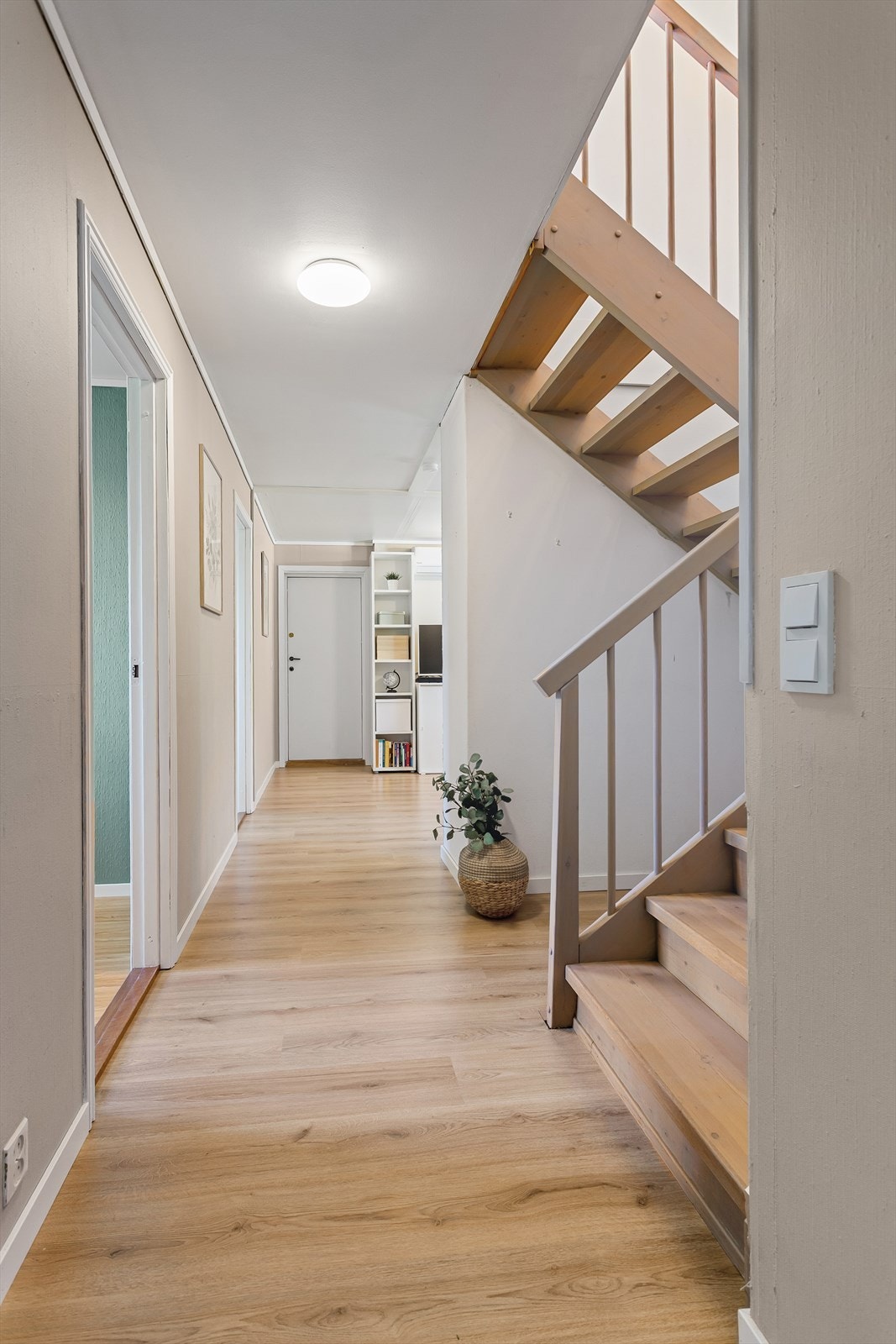 Gang med laminat på gulv (2024), malt tapet på vegger og malt himling Galleribilde