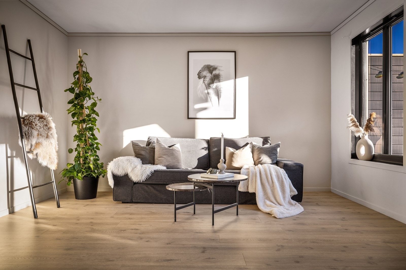 Rommet har en lun og god atmosfære. Galleribilde