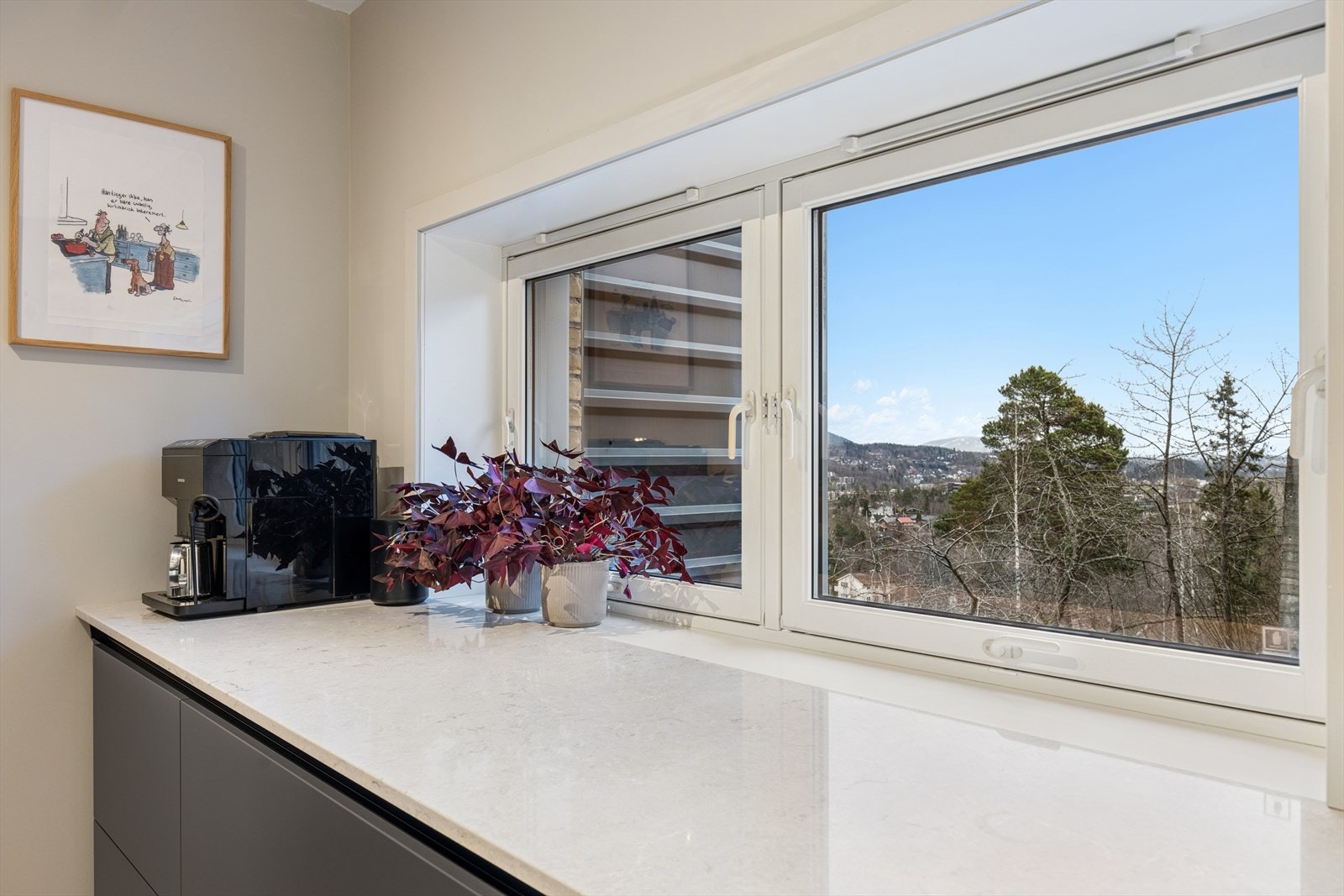 Flott utsikt fra kjøkkenvinduet. Galleribilde