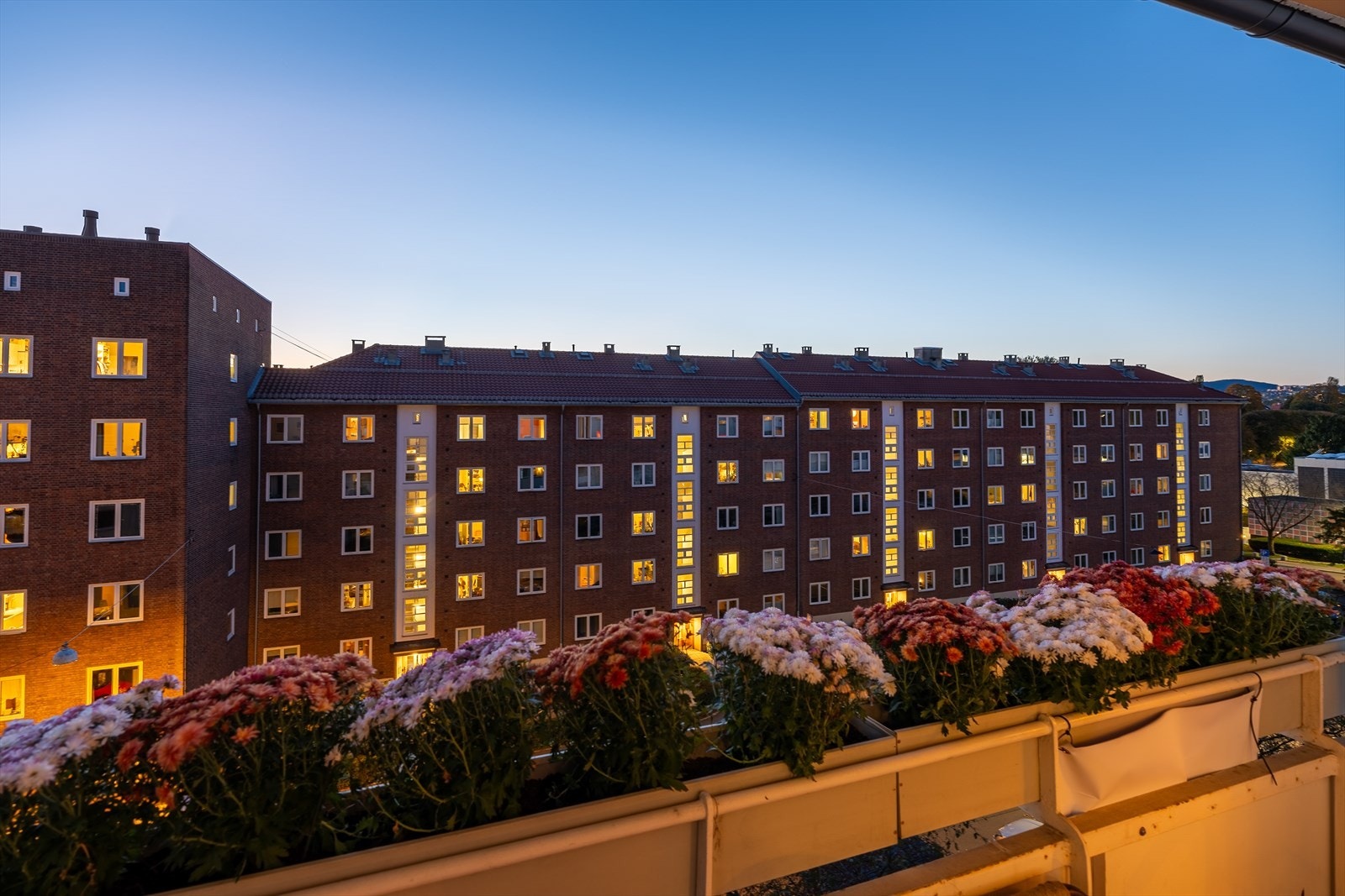 Utsyn fra balkongen på kveldstid. Galleribilde