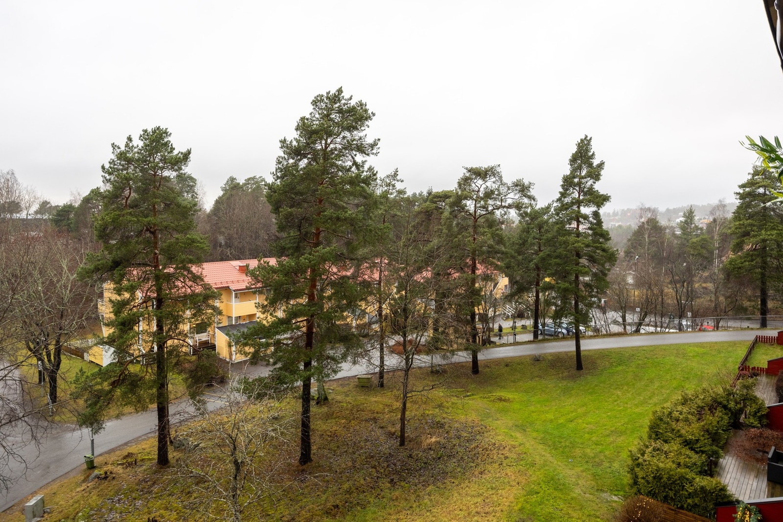 Flott utsikt over nærområdet. Galleribilde