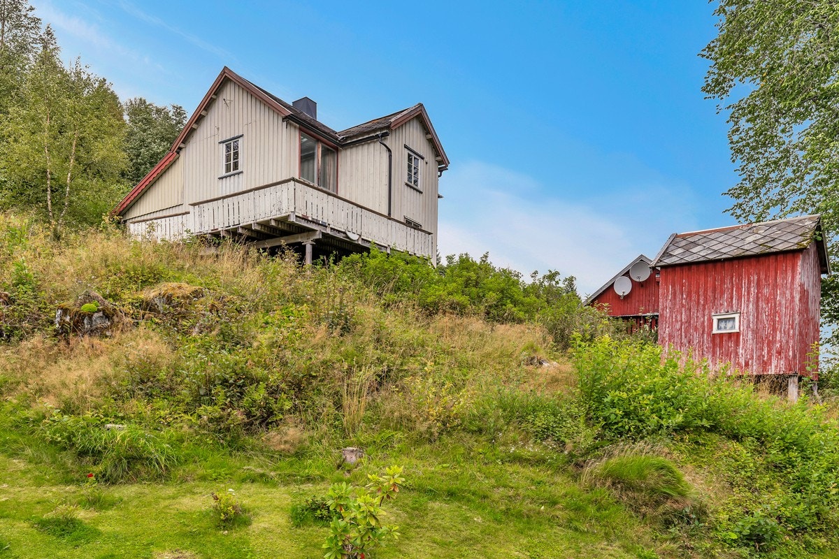 Tomten har masse grøntareal. Galleribilde