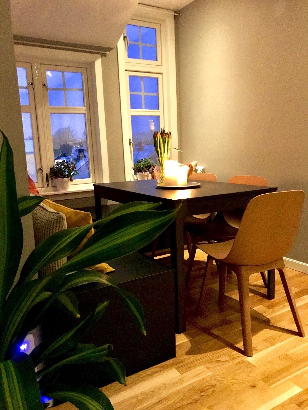 Vindfang med utsikt til Slottsfjellet med lagringsplass i benkene Galleribilde