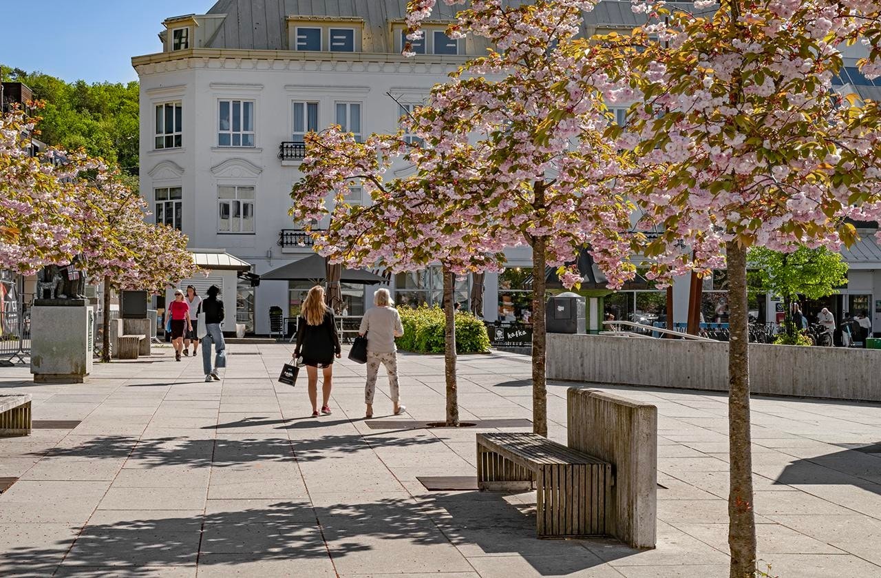 Miljøbilde Galleribilde