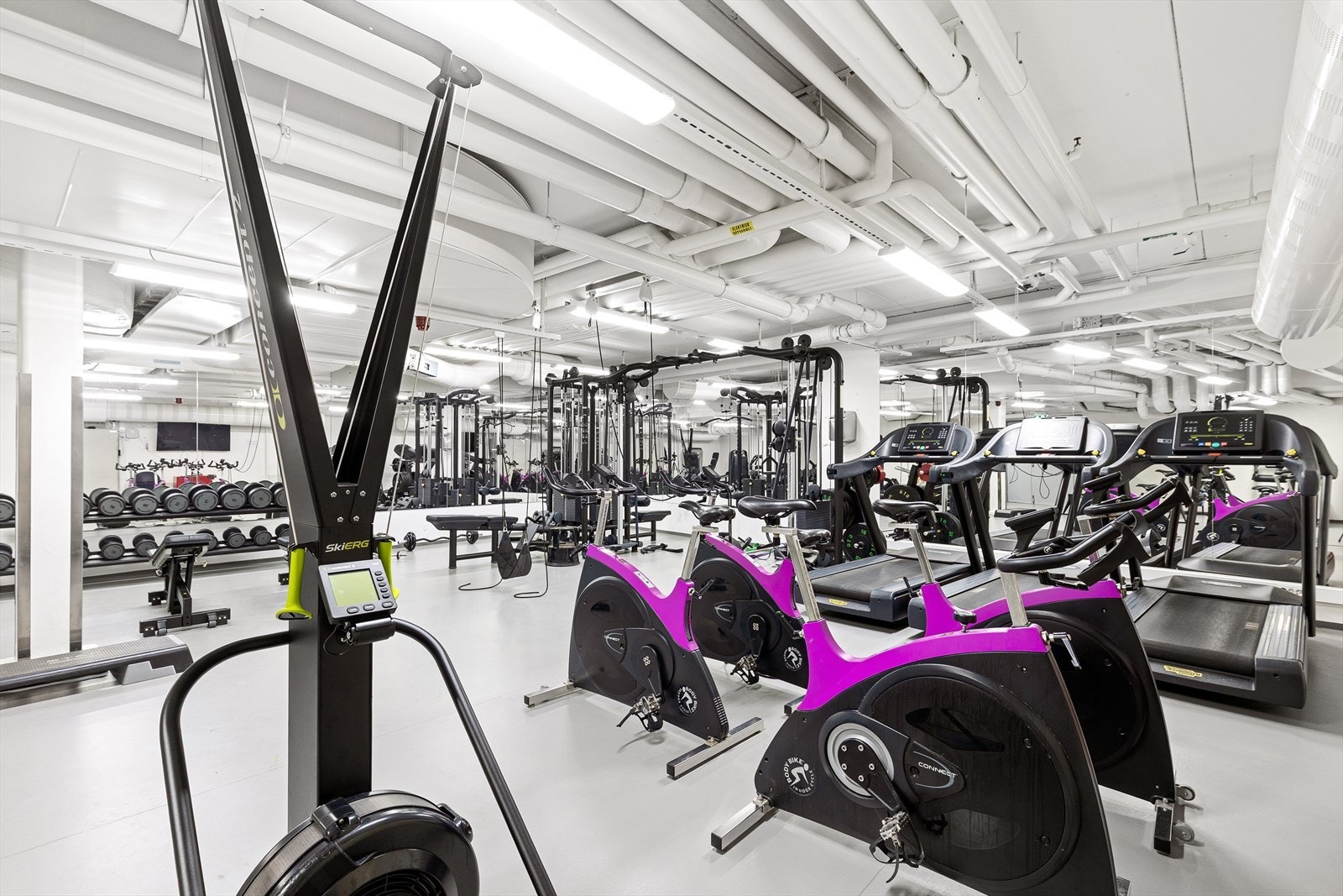 Meget godt utvalg av apparater i treningsrommet Galleribilde