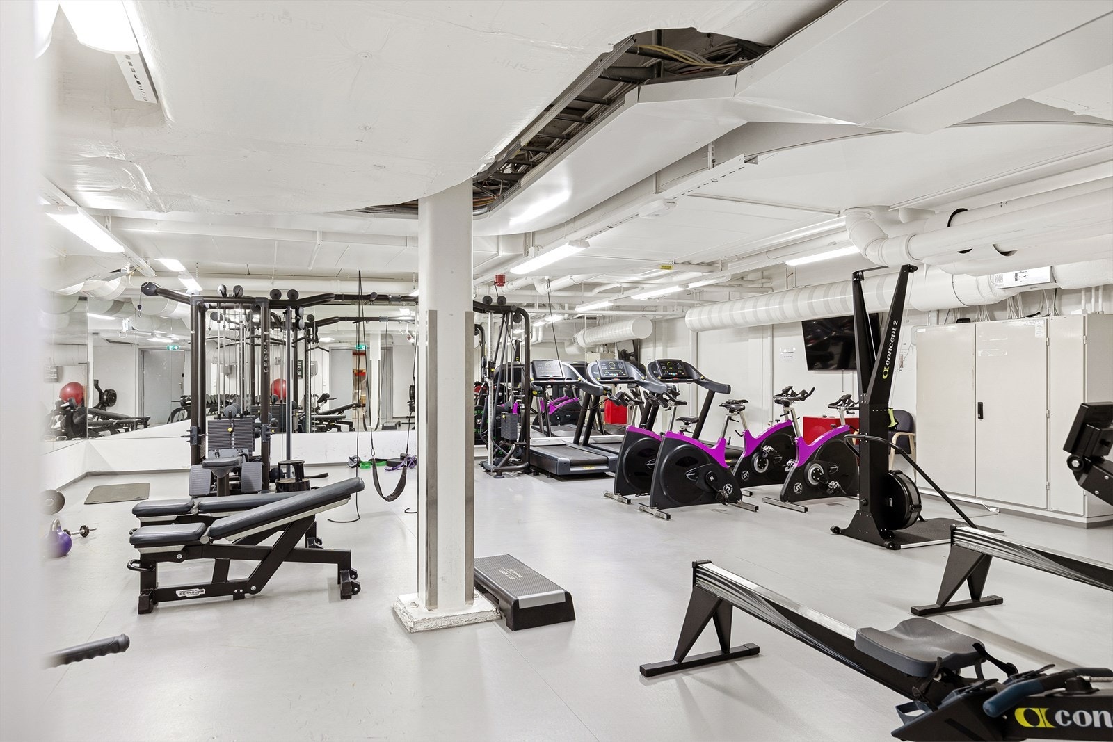 Adgang til trimrom Galleribilde