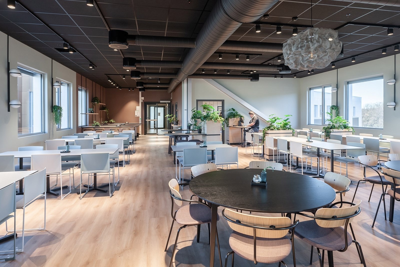 Stjernebygget Galleribilde