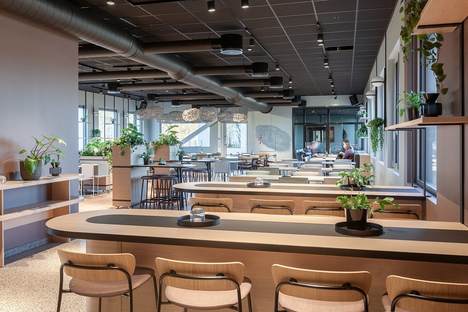 Stjernebygget Galleribilde