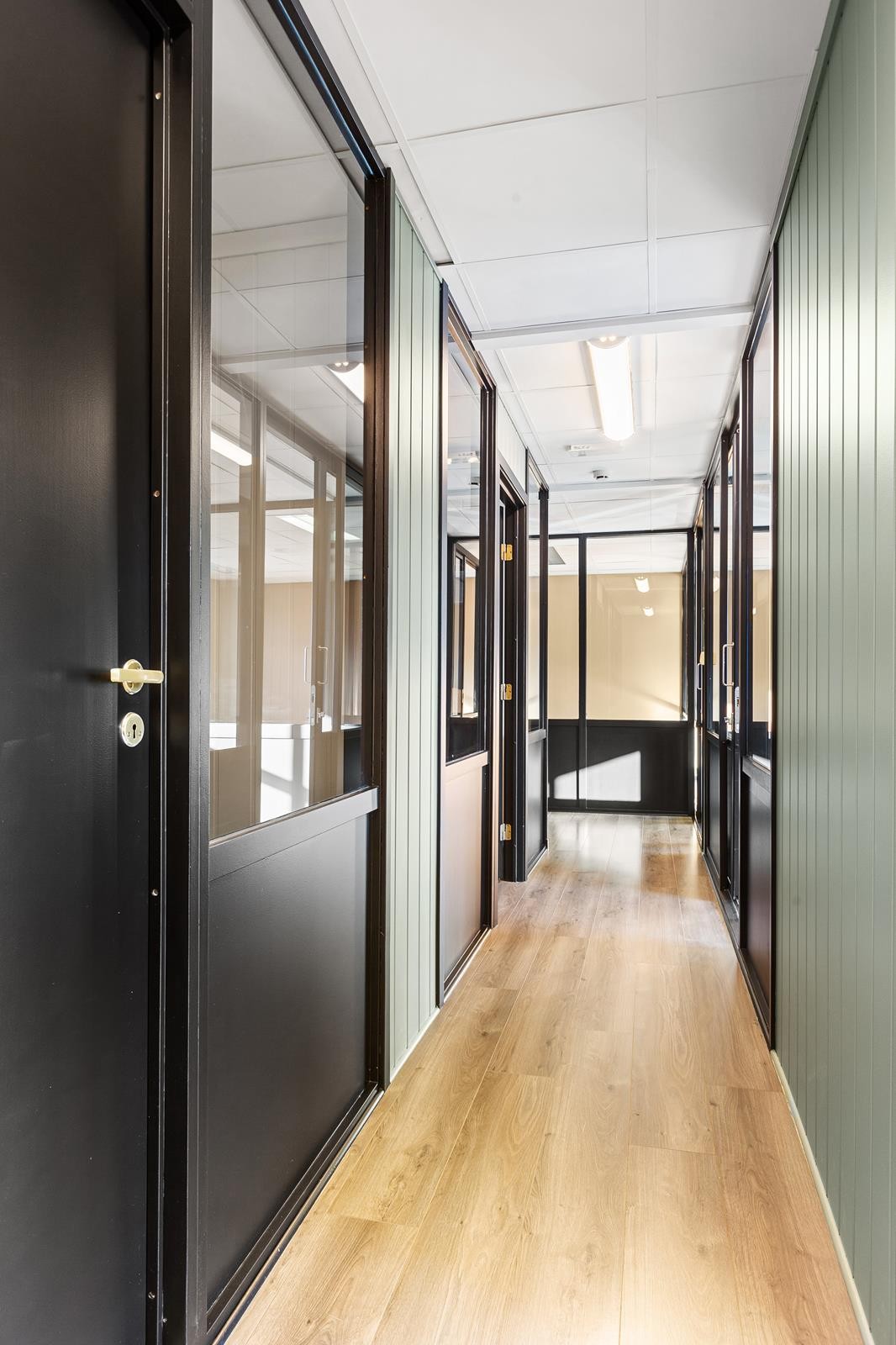 Tidsriktige farger Galleribilde