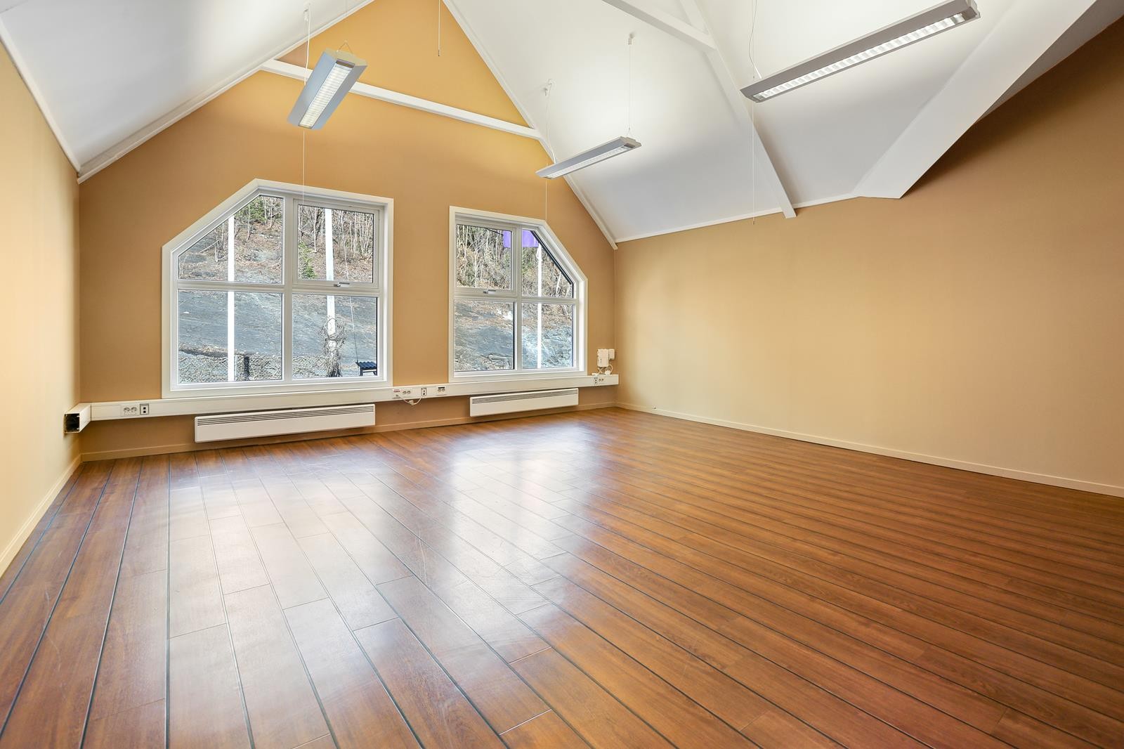 Unik takhøyde og utforming. Store vinduer mot slemmestadveien Galleribilde