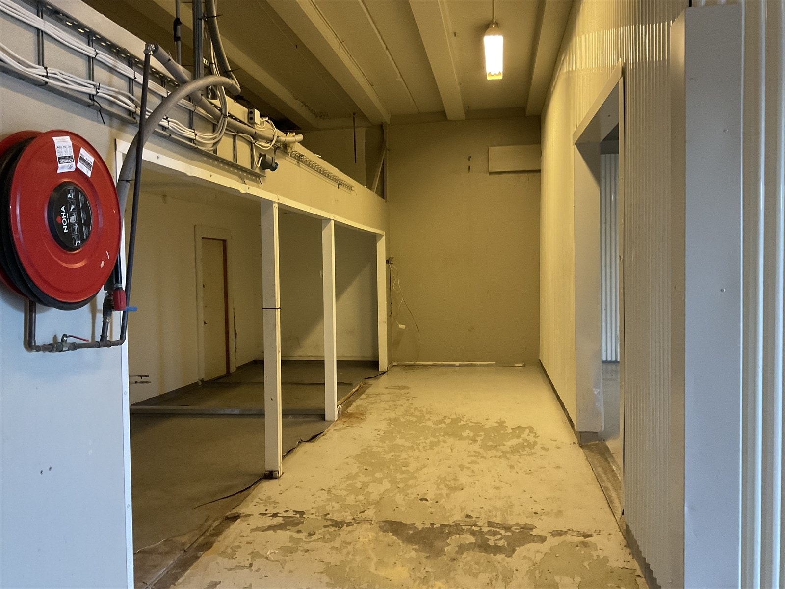 IMG_2303.jpeg Galleribilde