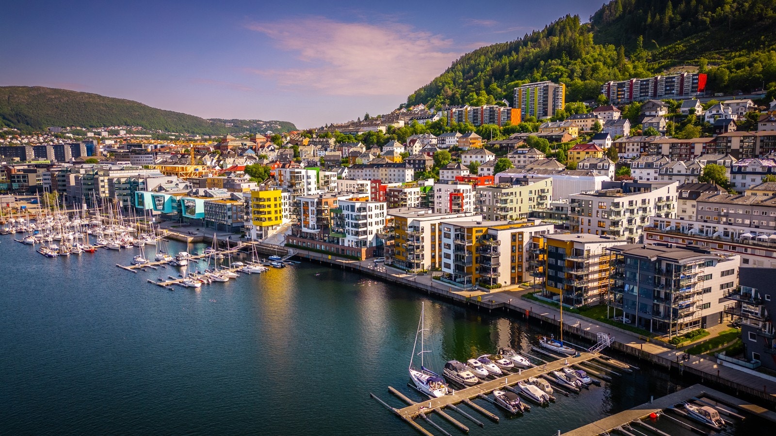 Nærområde Galleribilde