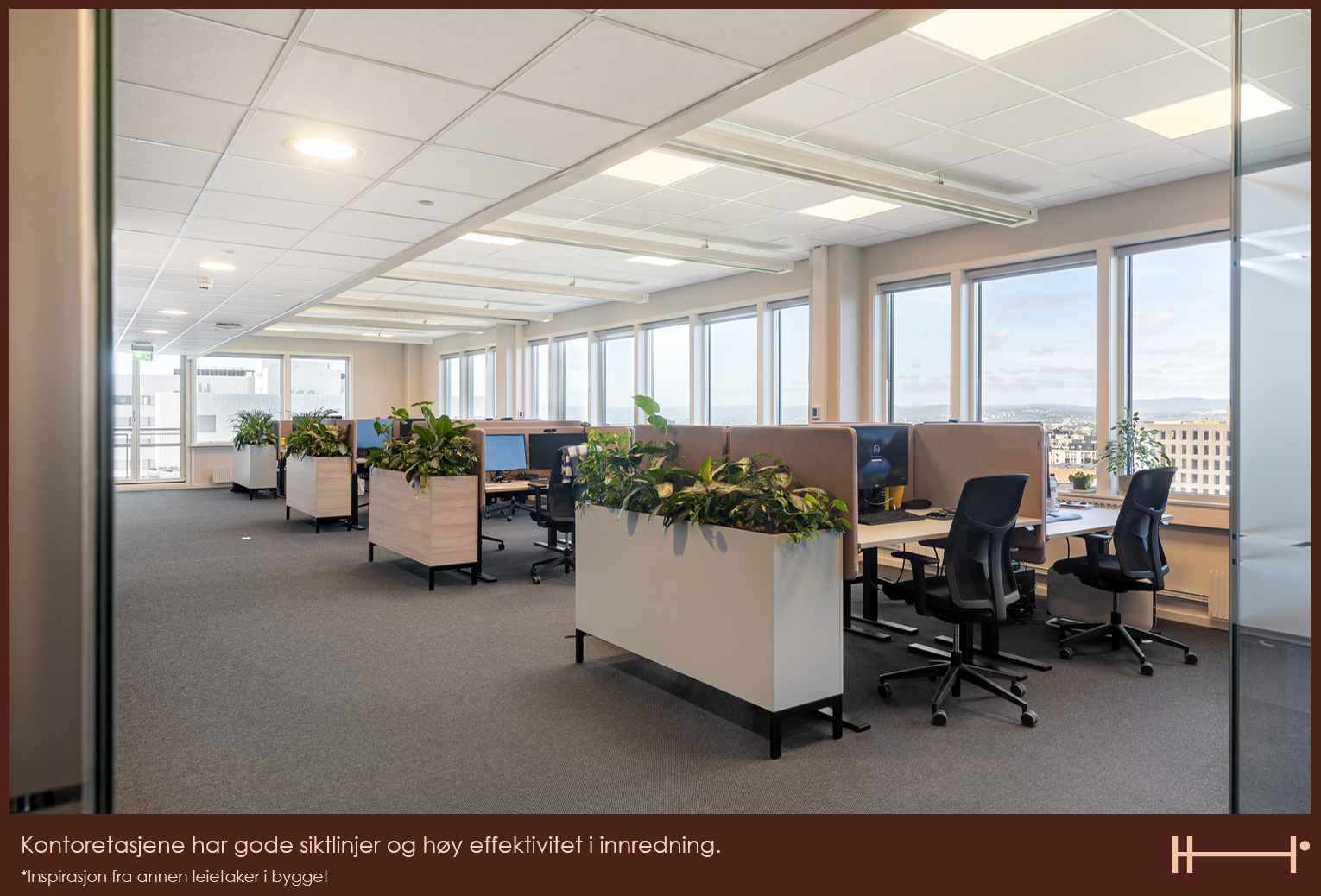 HELSFYR PANORAMA Galleribilde