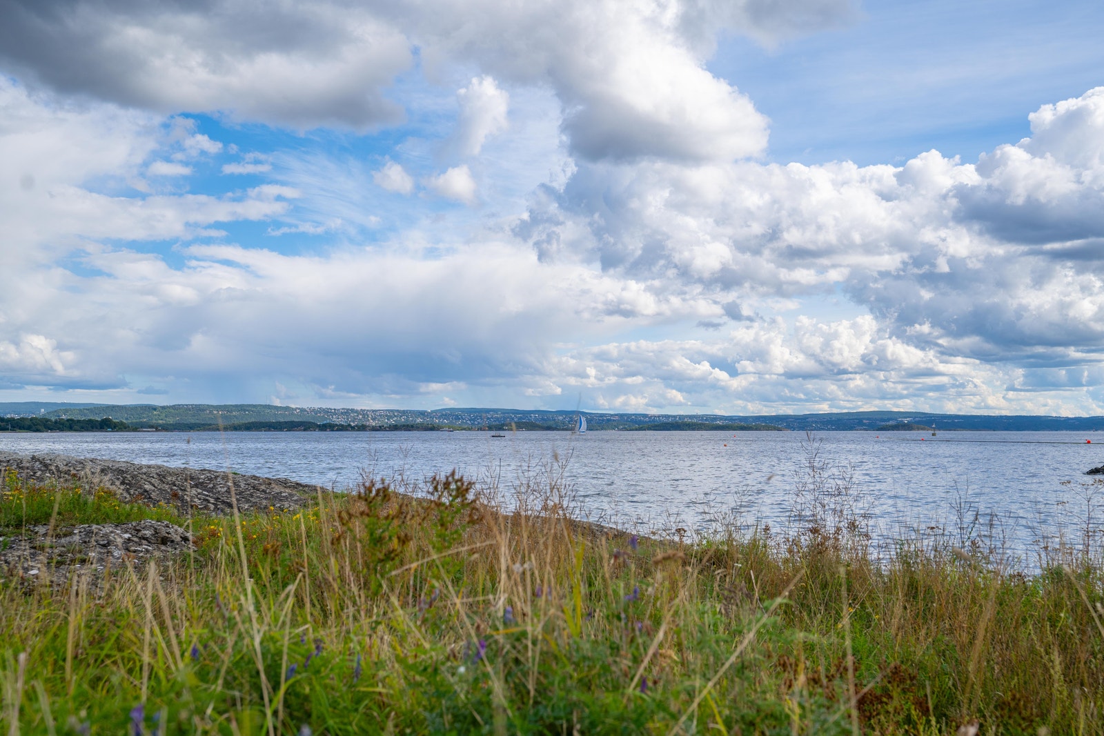 Nydelige rekreasjonsområder rett utenfor kontordøren Galleribilde
