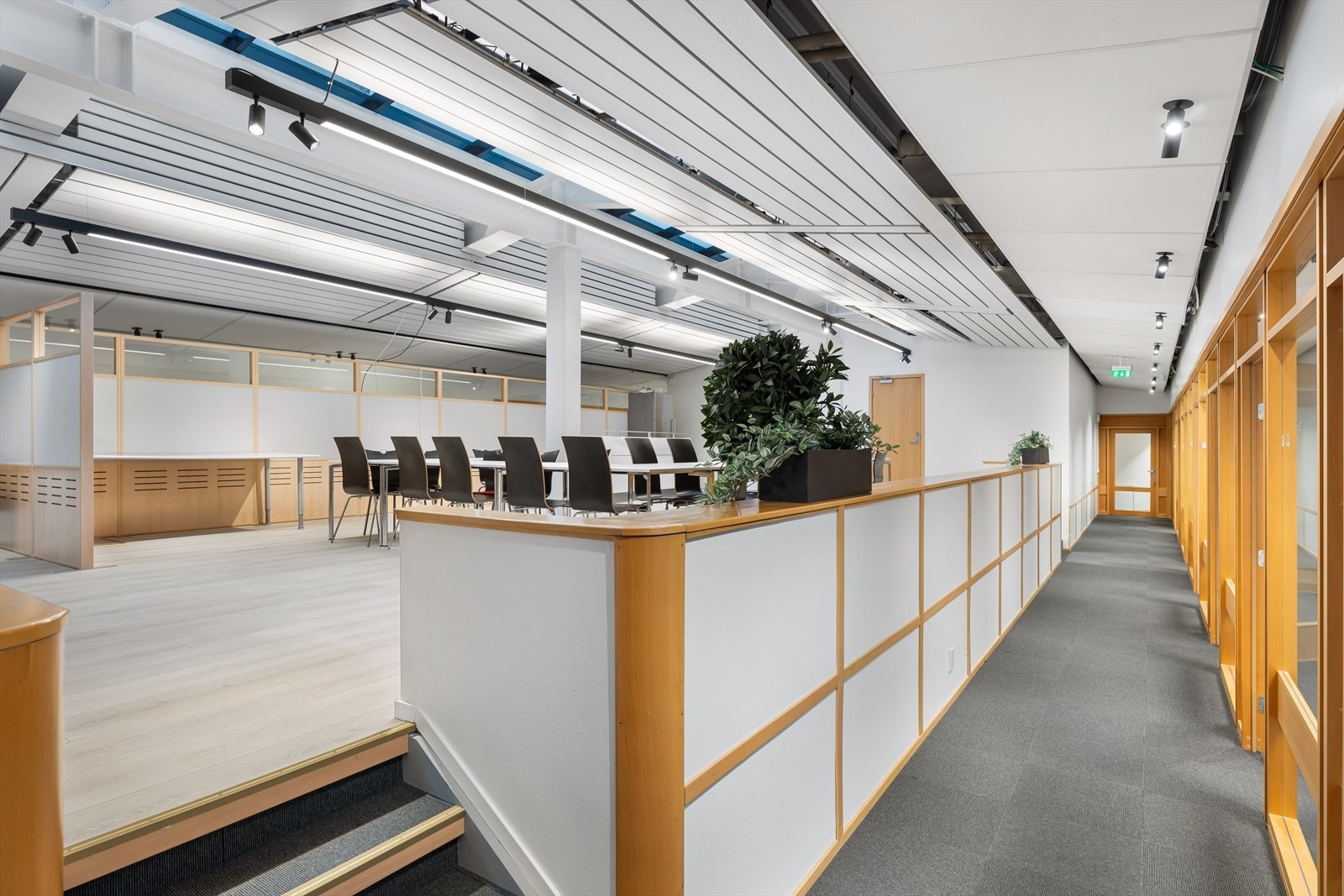 DSC 7145 Galleribilde