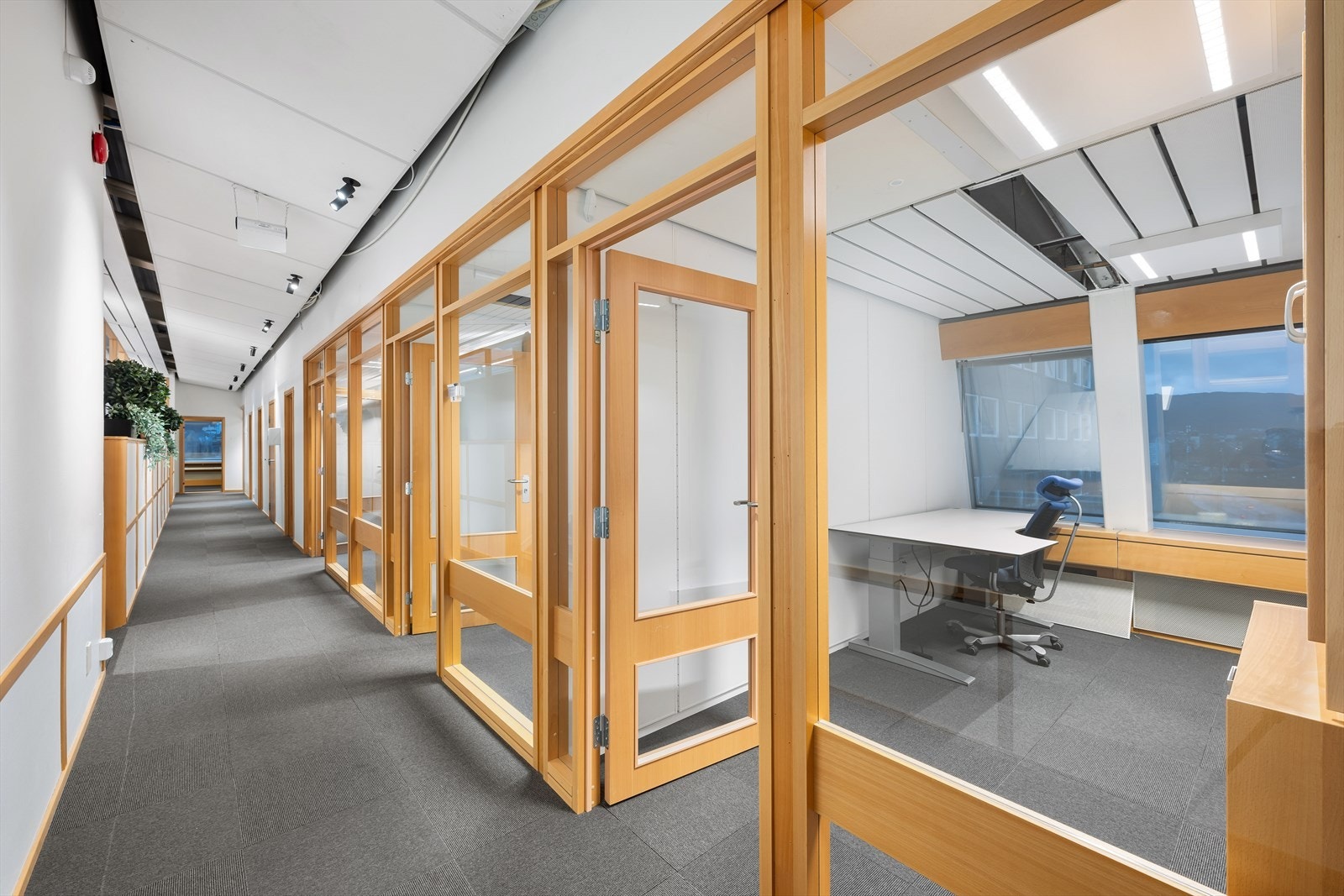 DSC 7121 Galleribilde