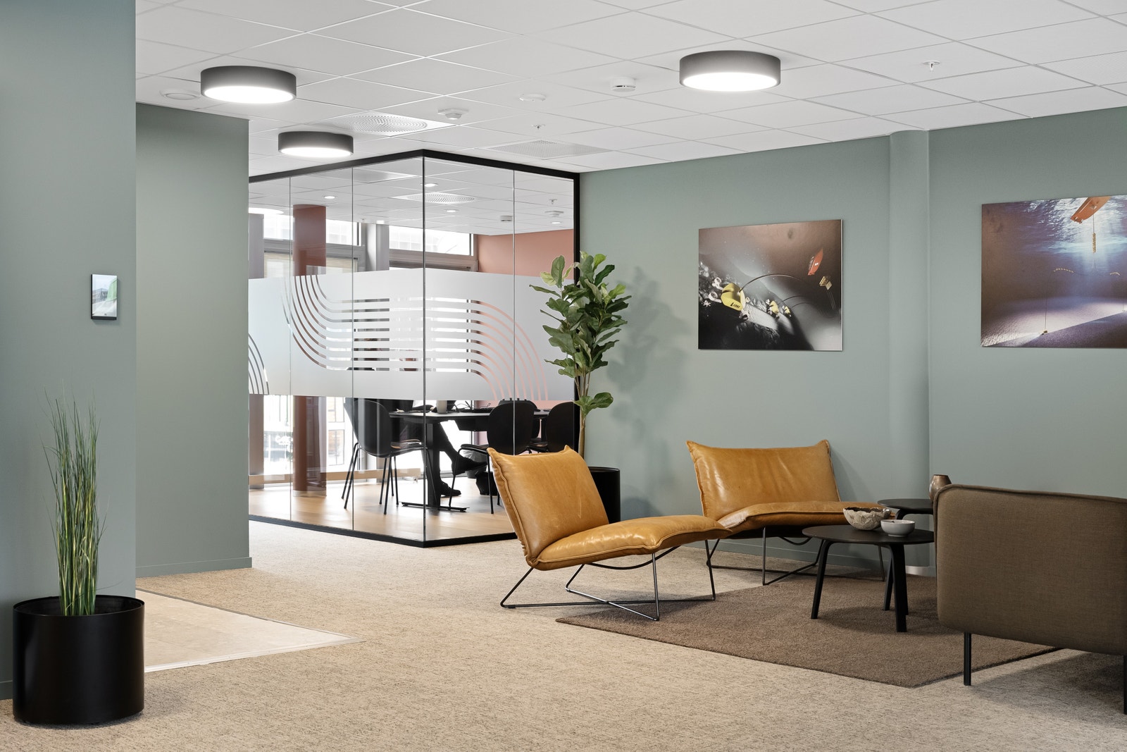 Fra annen leietaker Galleribilde