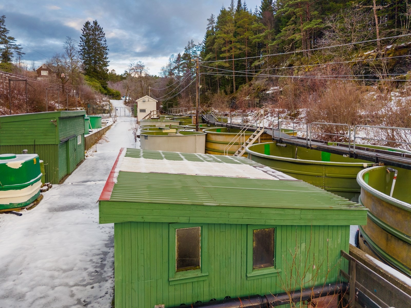 Vannkar og boder. Galleribilde
