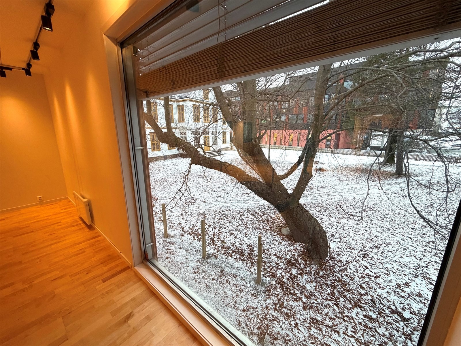 Fredet hage utenfor. Galleribilde