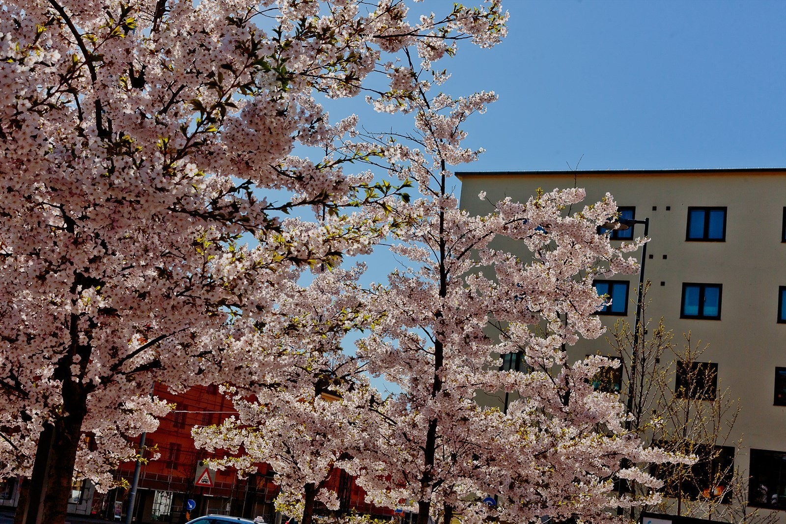Carl Berners plass Galleribilde