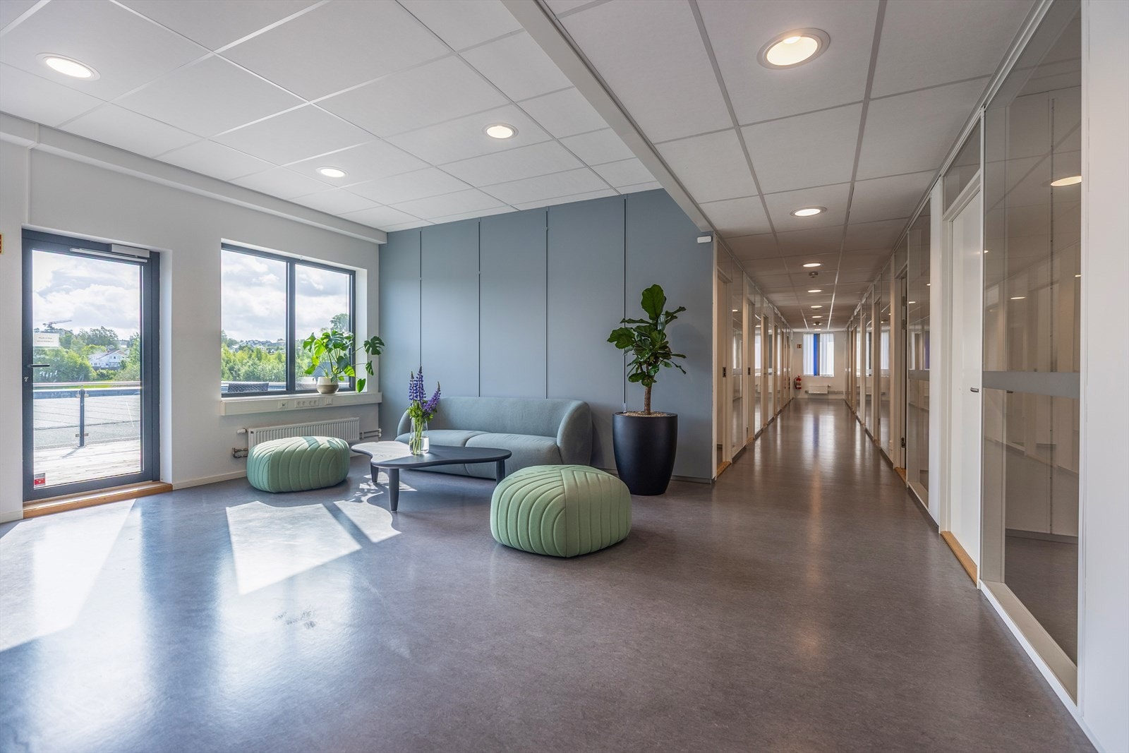 Sosial sone Galleribilde