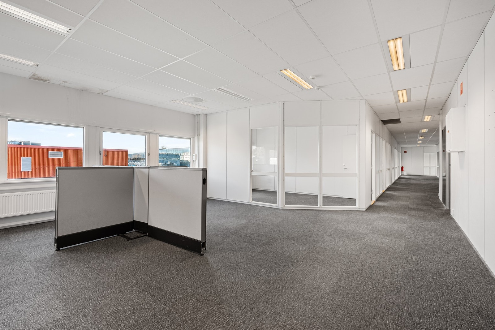 Lokale D Galleribilde