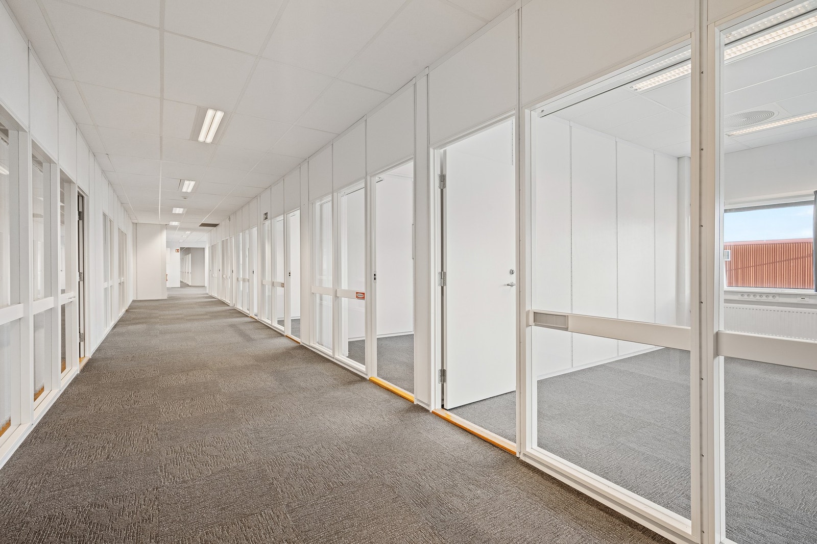 Lokale D Galleribilde