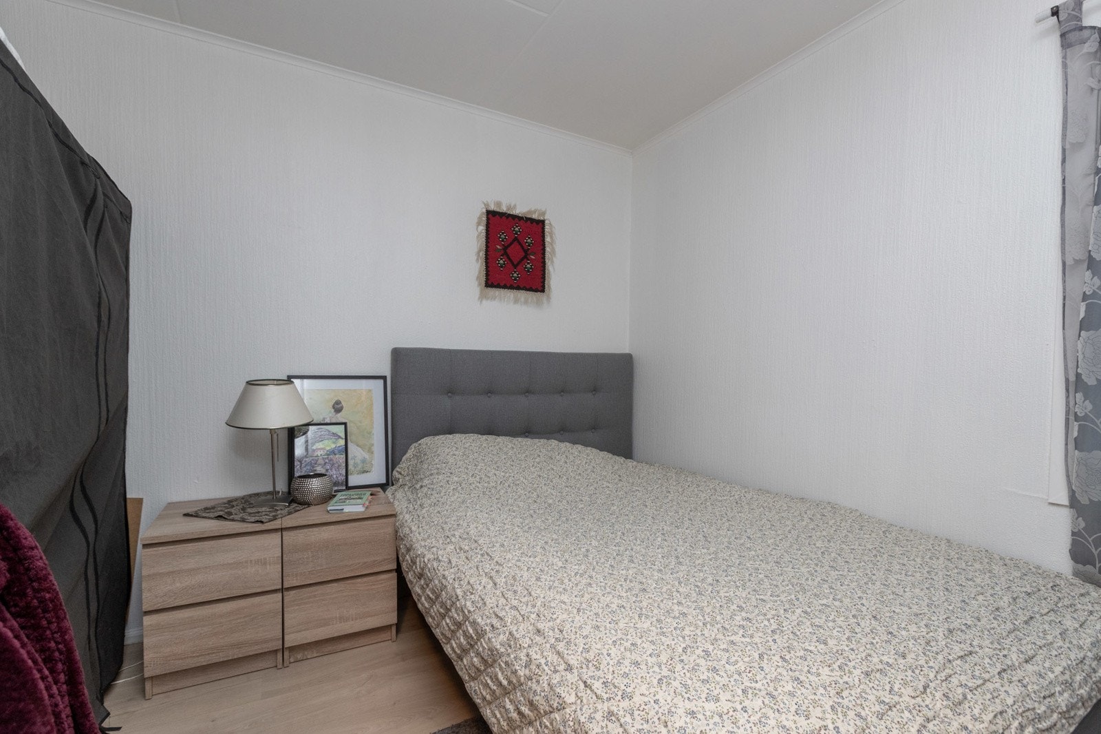 Pellygata-33-3981 Galleribilde