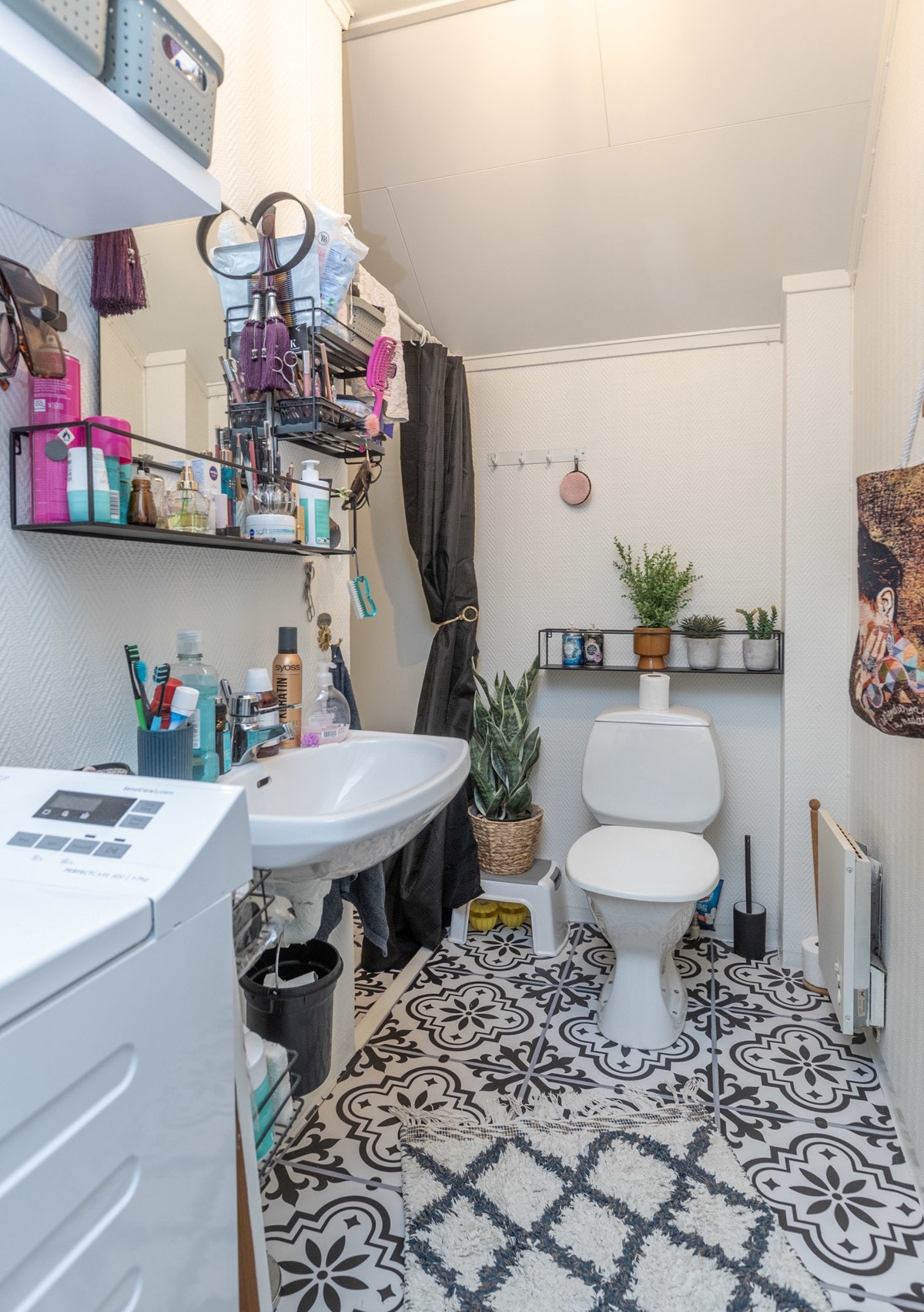 Pellygata-33-3998 Galleribilde