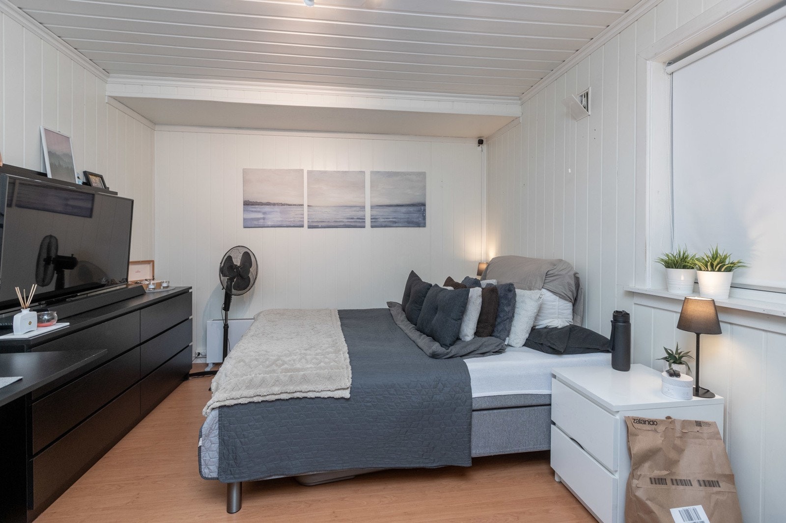 Pellygata-33-3987 Galleribilde