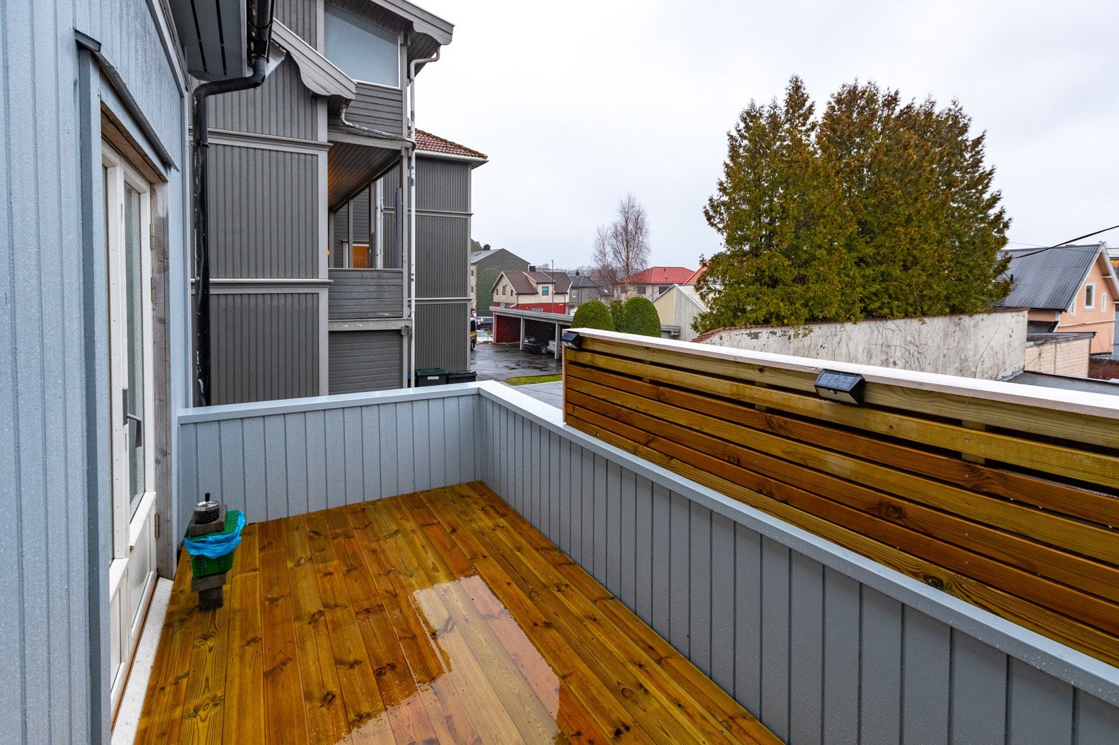 Pellygata-33-3978 Galleribilde