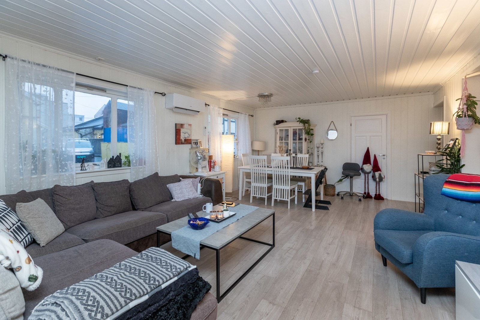 Pellygata-33-3986 Galleribilde