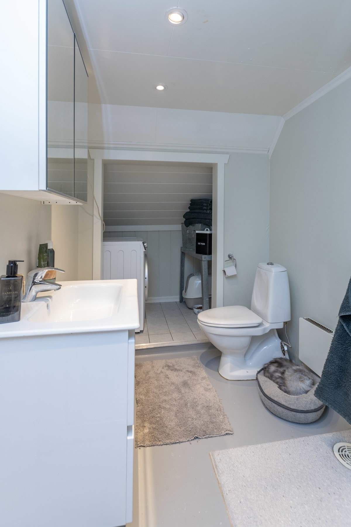 Pellygata-33-3972 Galleribilde