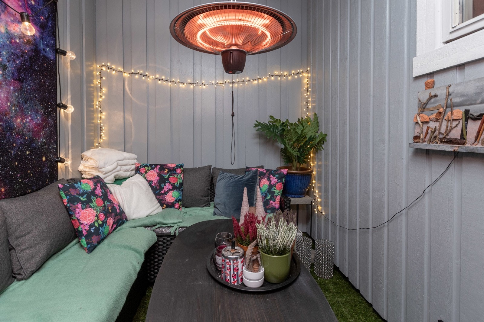 Pellygata-33-3995 Galleribilde