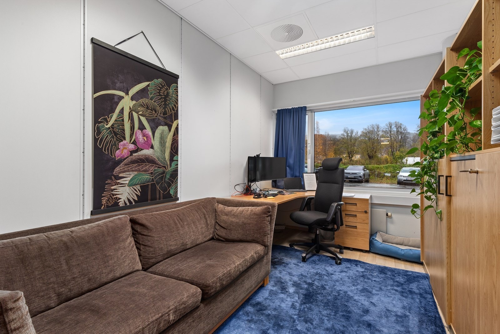 310544_3W1A6152.jpg Galleribilde