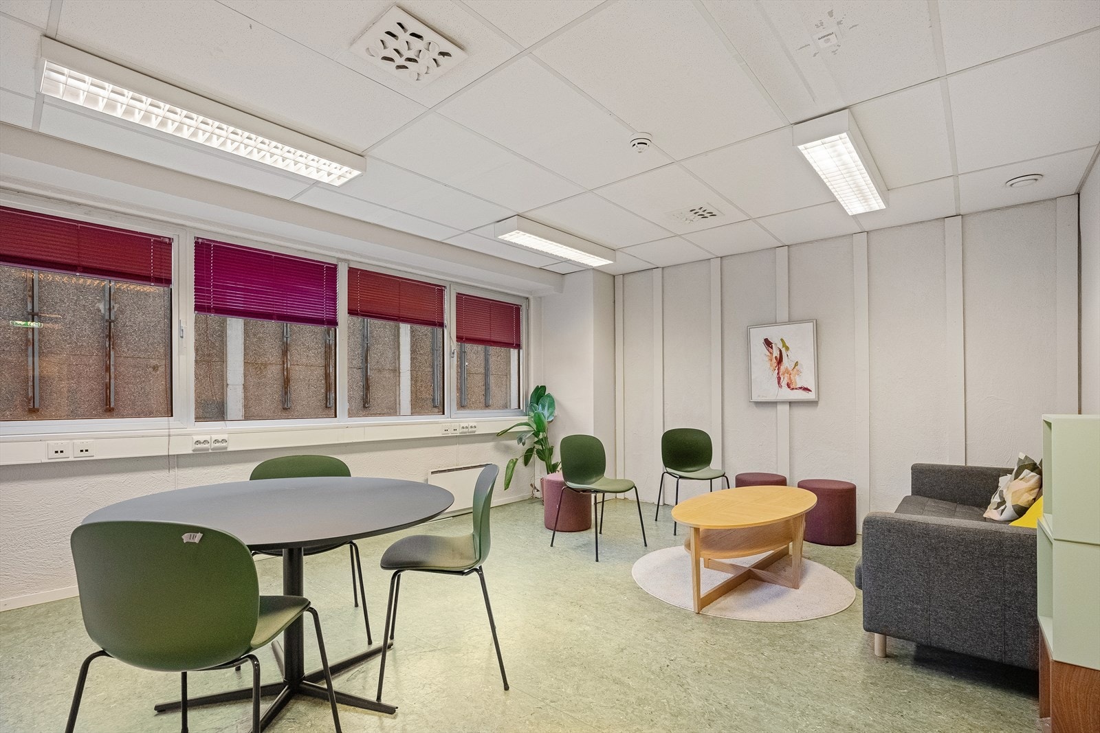 DSCF0241.jpg Galleribilde