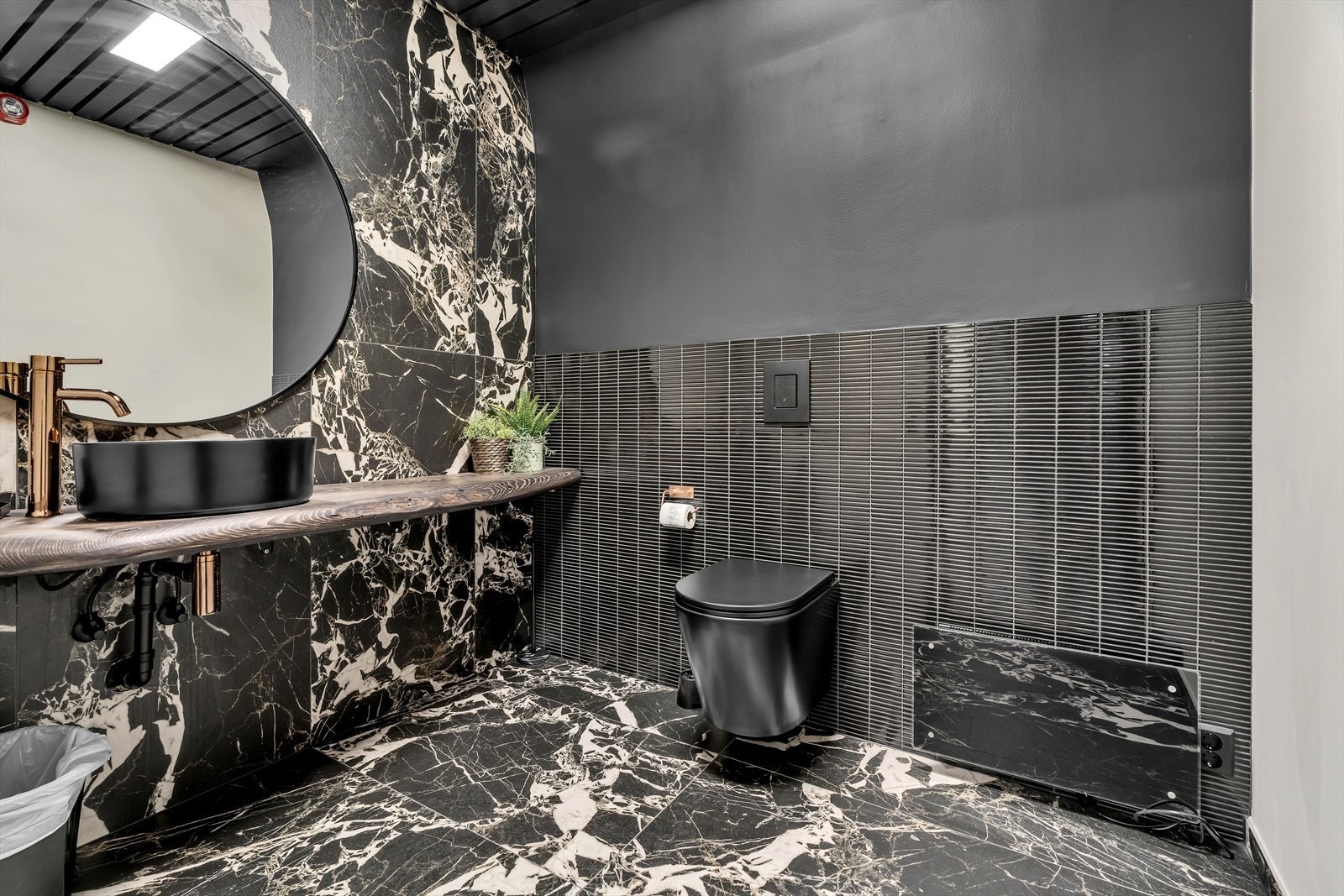 Kult og unikt toalett Galleribilde