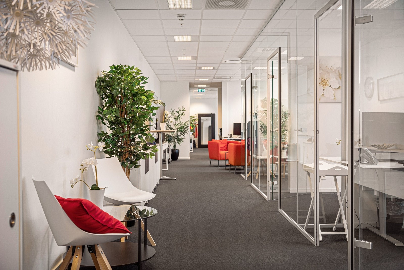 Cellekontorer har glassvegger mot fellesareal Galleribilde