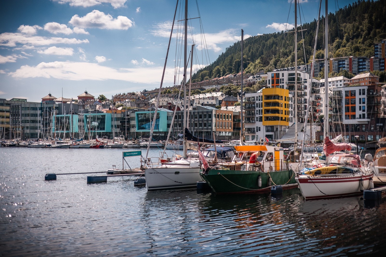 Maritime omgivelser Galleribilde